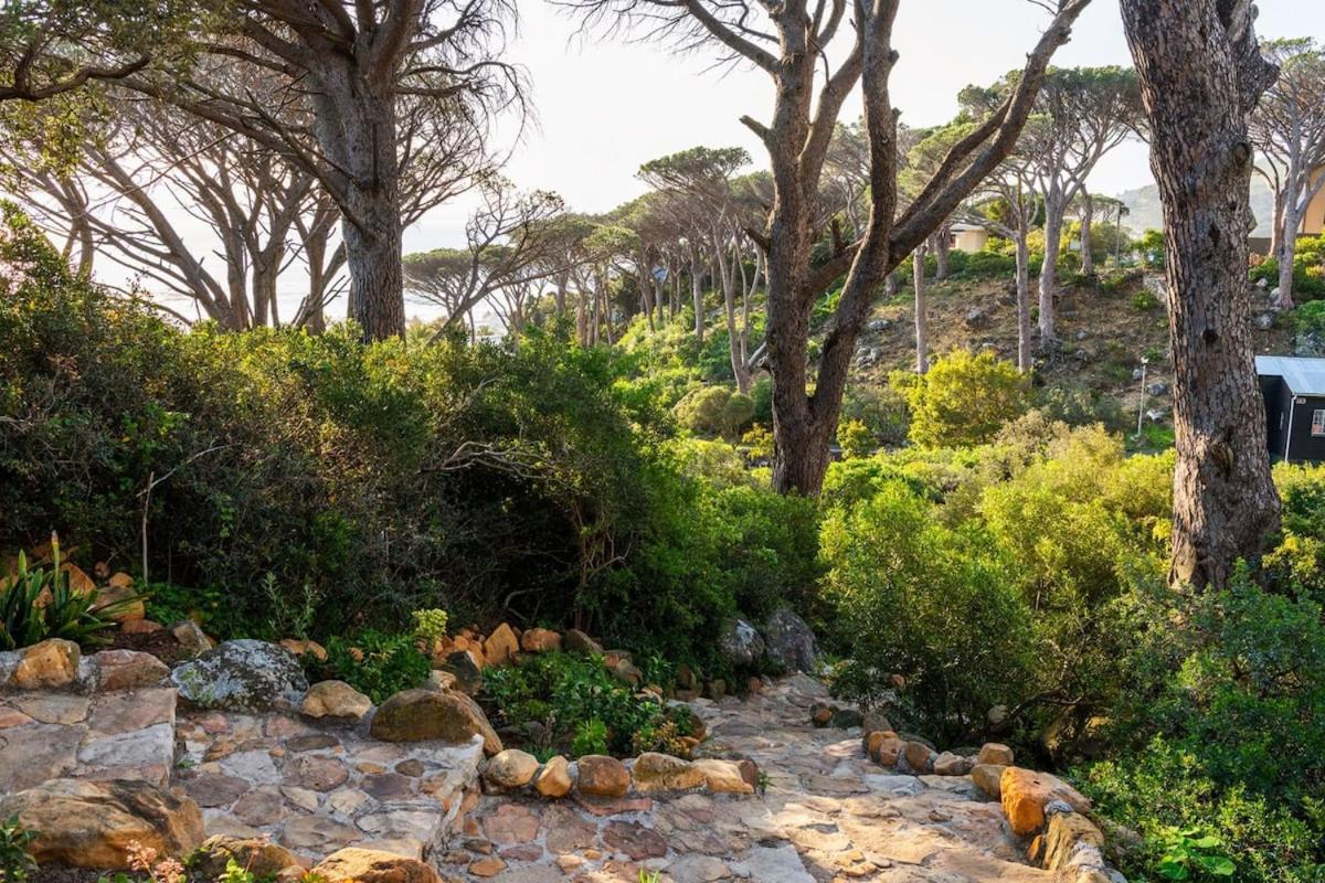 Lush Family Home In Prestigious Area ケープタウン エクステリア 写真
